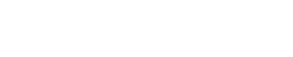 Prime Partner Deals